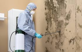 Best Mold Remediation for Healthcare Facilities in USA